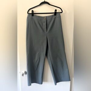 Ann Taylor pants.
